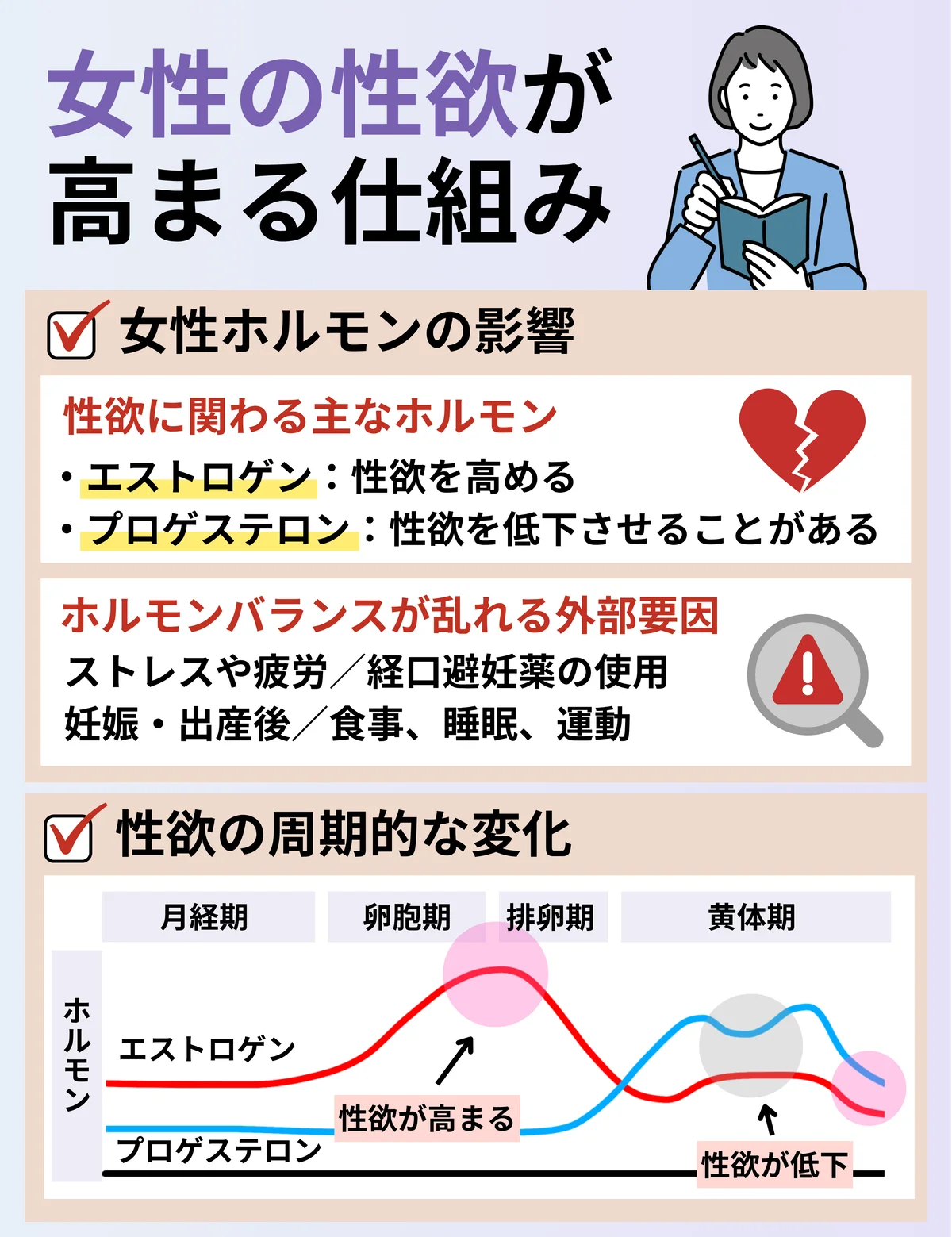 女性の性欲が高まる仕組み