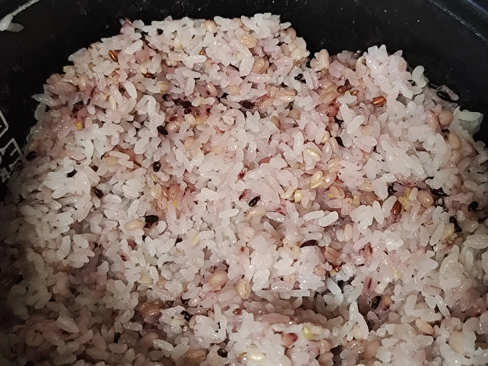 食物繊維が多く含まれる食べ物